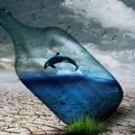 Climate Fund for Nature Wasserressourcen