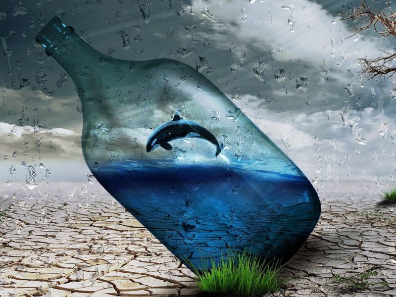 Climate Fund for Nature Wasserressourcen