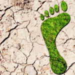 Green Bond der reconcept