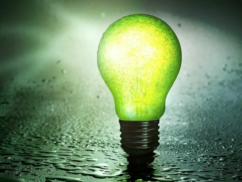 Glühbirne grün Nachhaltigkeit