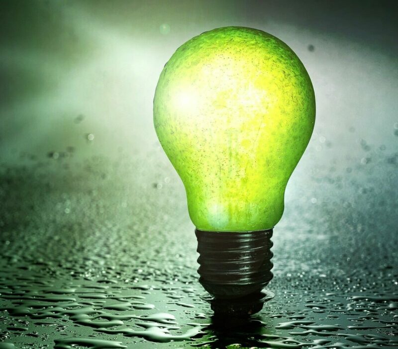 Nachhaltigkeitsmanagement Glühbirne grün Nachhaltigkeit