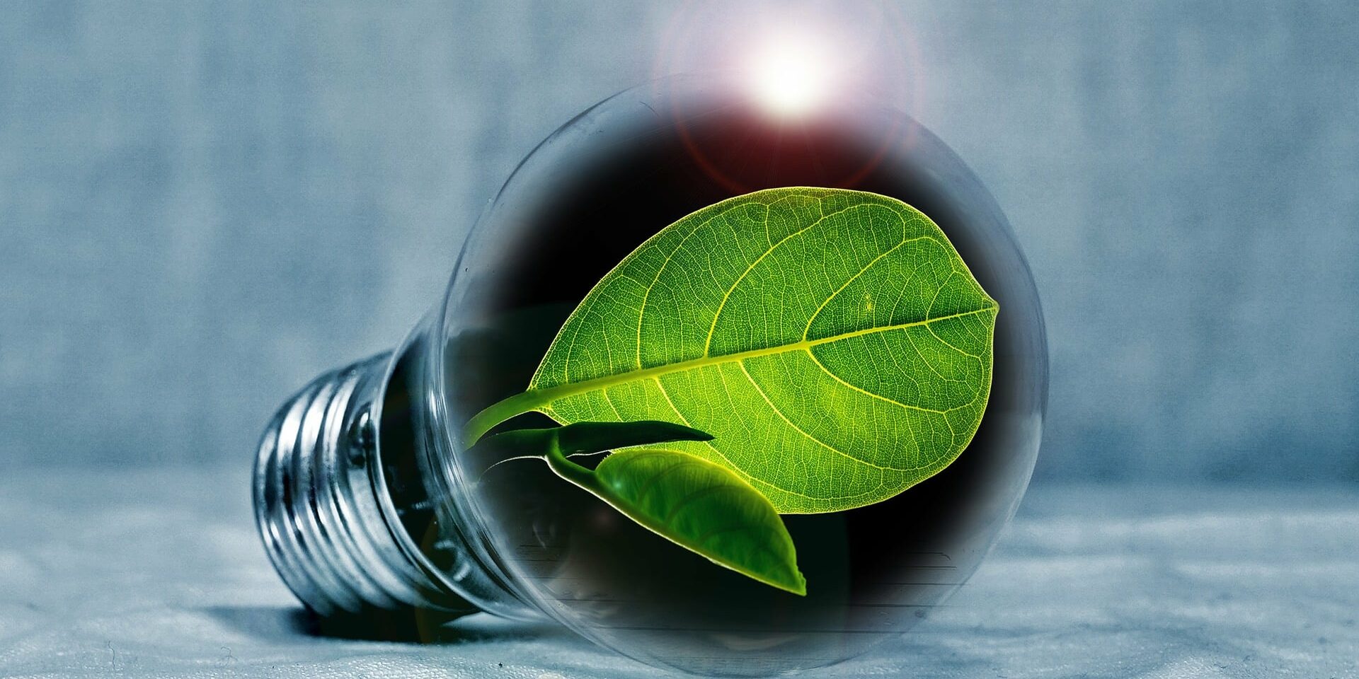 Glühbirne Blatt Sustainable Operations