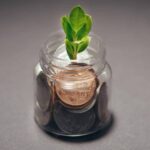 grüne Investments Nachhaltige Geldanlagen Commerzbank Blatt grün Investment Nachhaltigkeit Impact Investing Nachhaltige Aktien Nachhaltige Finanzprodukte Investitionen