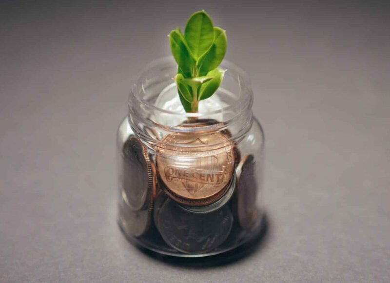 Blatt grün Investment Nachhaltigkeit Impact Investing