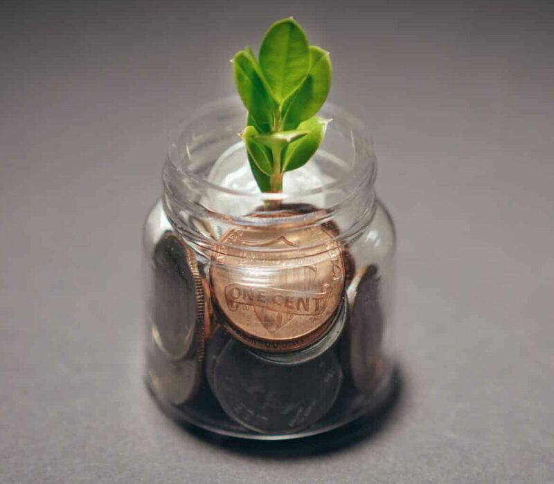 Nachhaltige Geldanlagen Commerzbank Blatt grün Investment Nachhaltigkeit Impact Investing