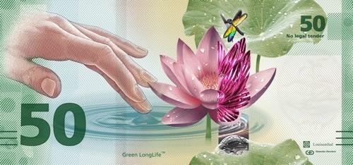 Nachhaltige Musternote Green LongLife