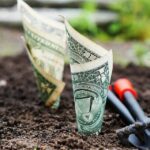 ESG-Ziele Blumenbeet Garten Geld nachhaltige Geldanlage Sustainable Finance Green Finance