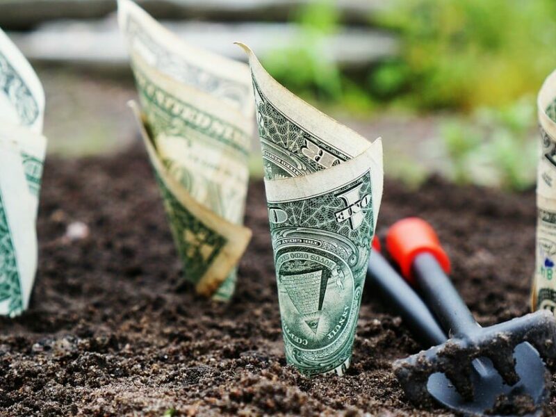 Blumenbeet Garten Geld nachhaltige Geldanlage Sustainable Finance
