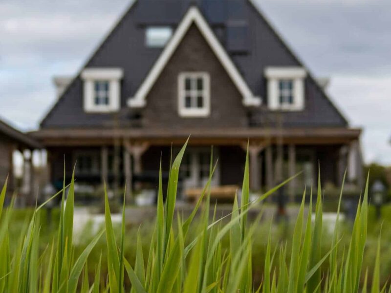 Das Bild zeigt ein Haus im Hintergrund. Es ist durch hohes Gras hindurch fotografiert aus einer Froschperspektive und damit teilweise verdeckt von dem Gras.