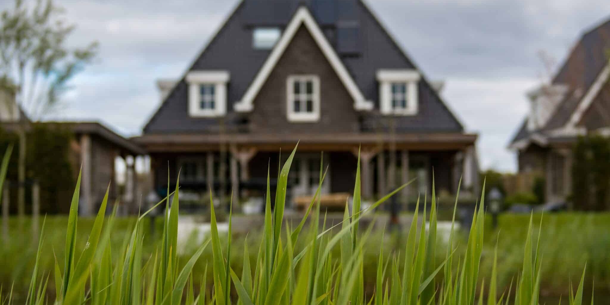 Das Bild zeigt ein Haus im Hintergrund. Es ist durch hohes Gras hindurch fotografiert aus einer Froschperspektive und damit teilweise verdeckt von dem Gras.