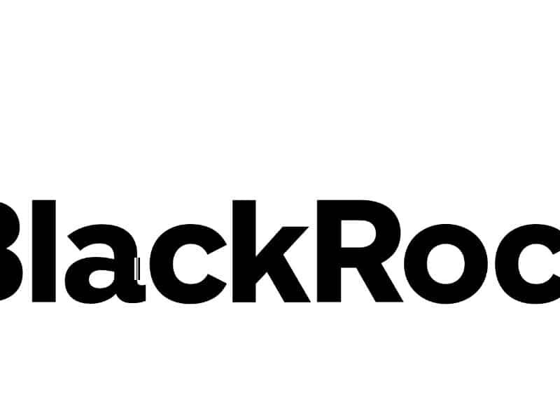 BlackRock hat kaum nachhaltige Ambitionen, die Investoren schon