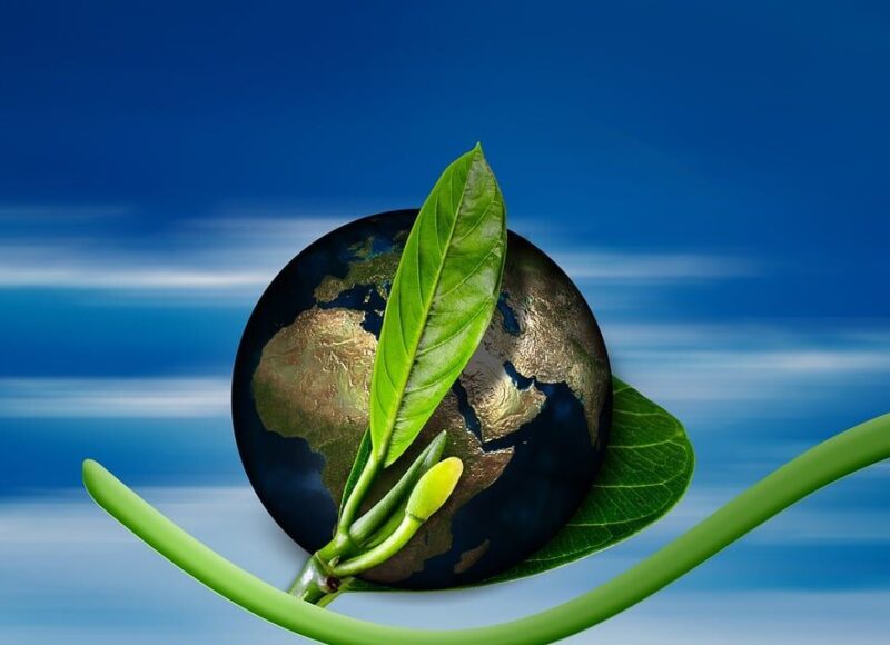 Climate Credit-Strategie